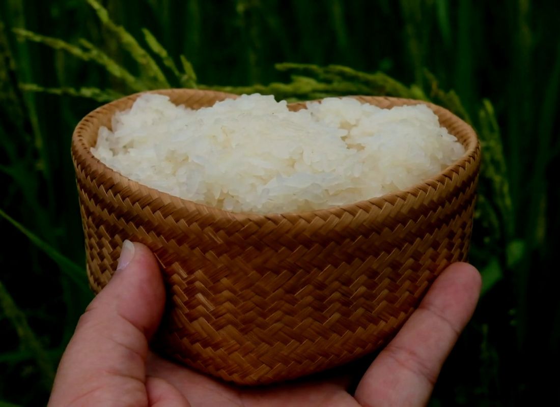 osoba drži pirinač u činiji