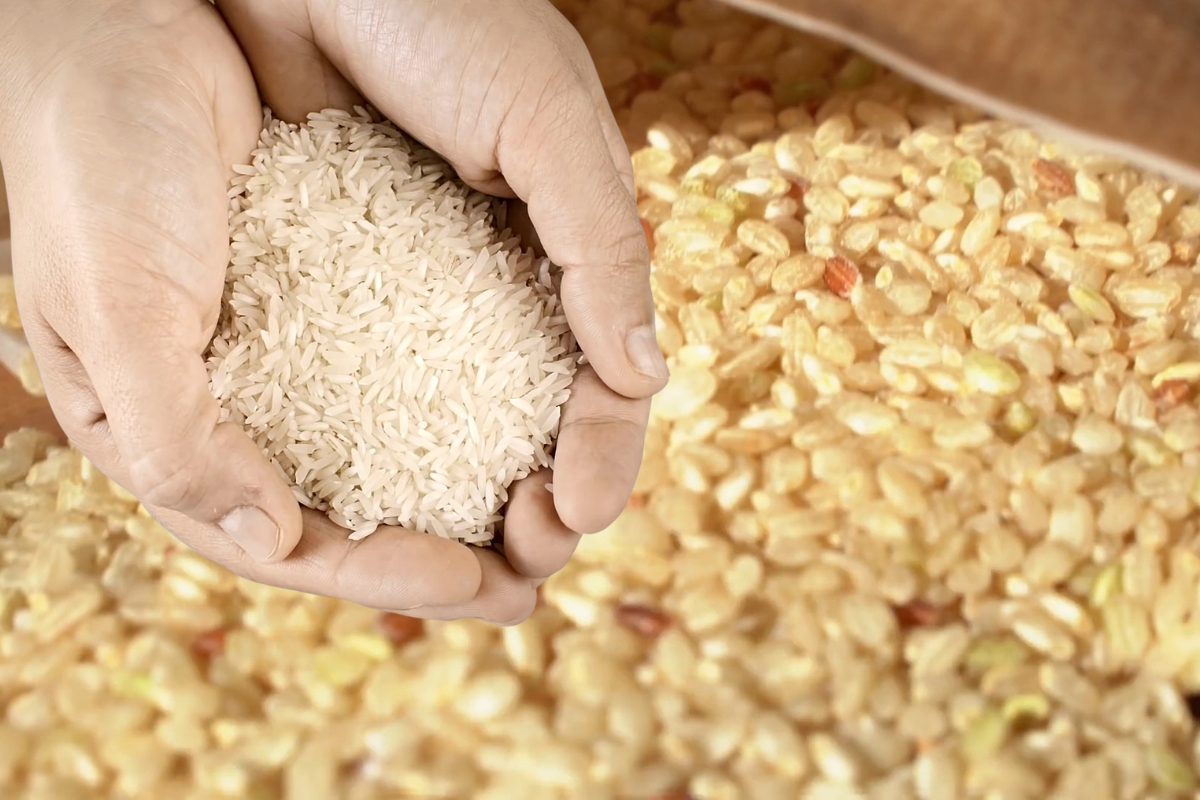 prikaz belog i braon pirinča